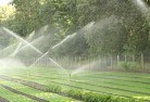 Collingwood Northlandscaping-water-management-and-drainage-17.jpg; ?>